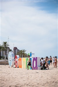 Imagen 0053