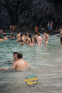 Imagen 0202