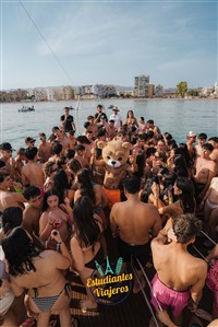 Imagen 0251