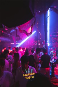 Imagen 0231