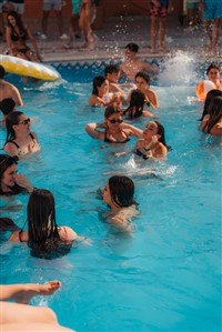Imagen 0065