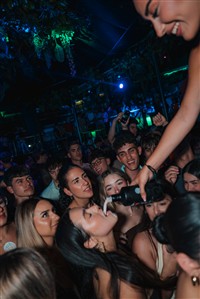 Imagen 0167