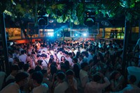Imagen 0206